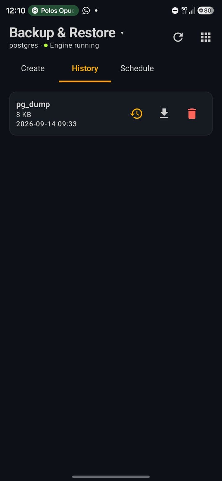 Backup History tab with a pg_dump backup and restore, export and delete buttons