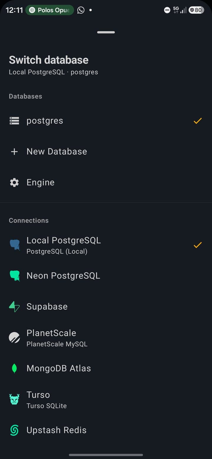Switch database sheet with the postgres database, New Database, Engine and the list of connections