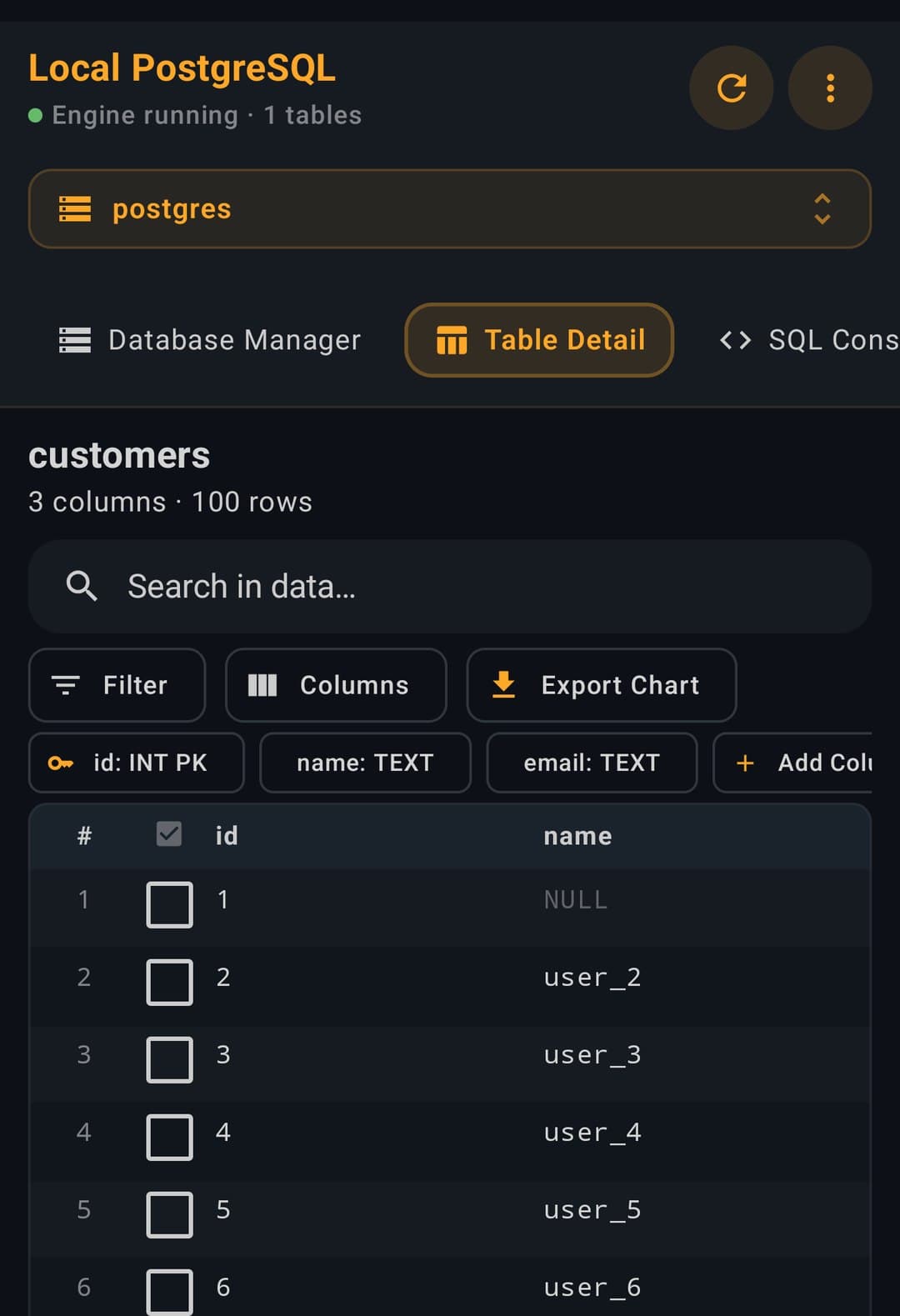 The customers table open with 3 columns and 100 rows, typed column chips above the grid