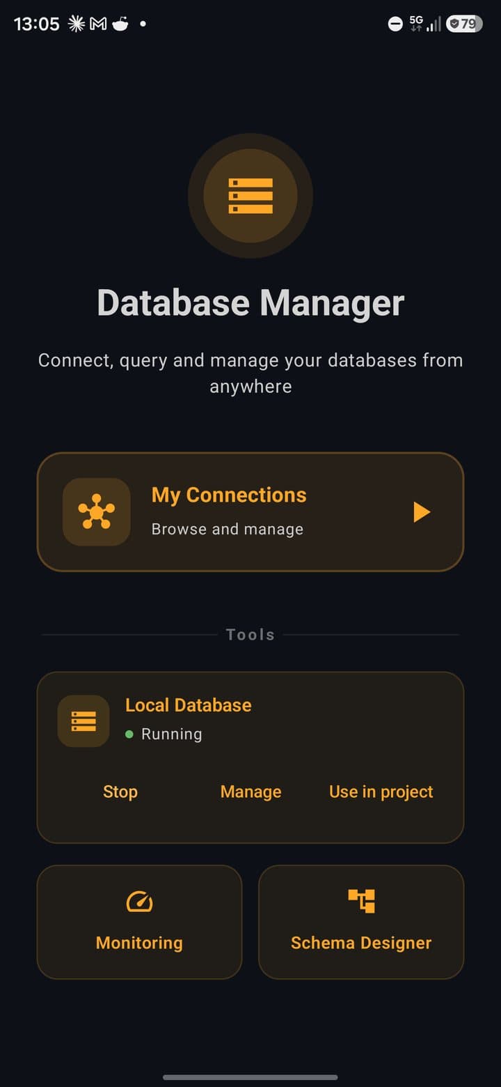 Database Manager start screen with My Connections, the Local Database card, Monitoring and Schema Designer