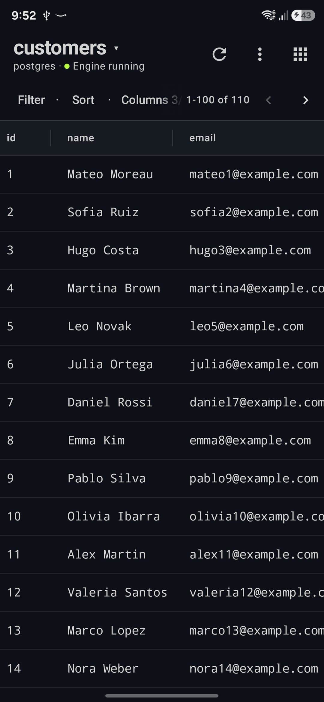 The customers table open on the local PostgreSQL with 110 rows, Filter, Sort and Columns above the grid
