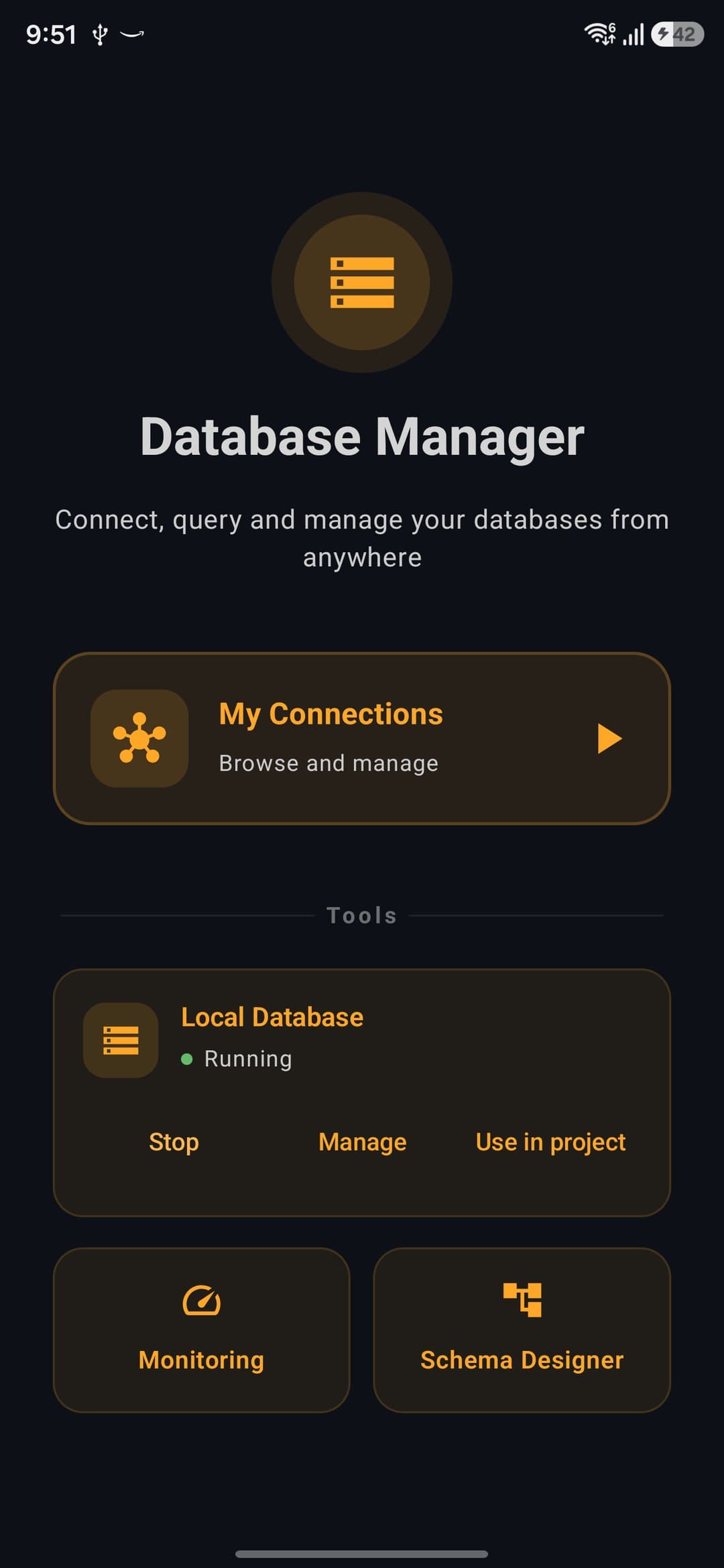Database Manager start screen with My Connections, the Local Database card running, Monitoring and Schema Designer