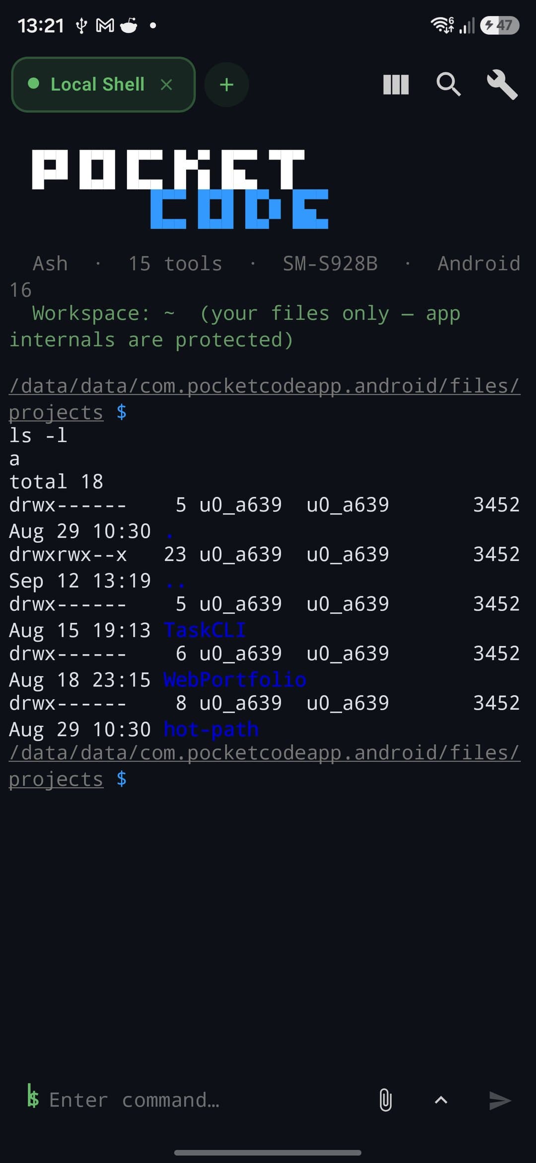 PocketCode — Terminal