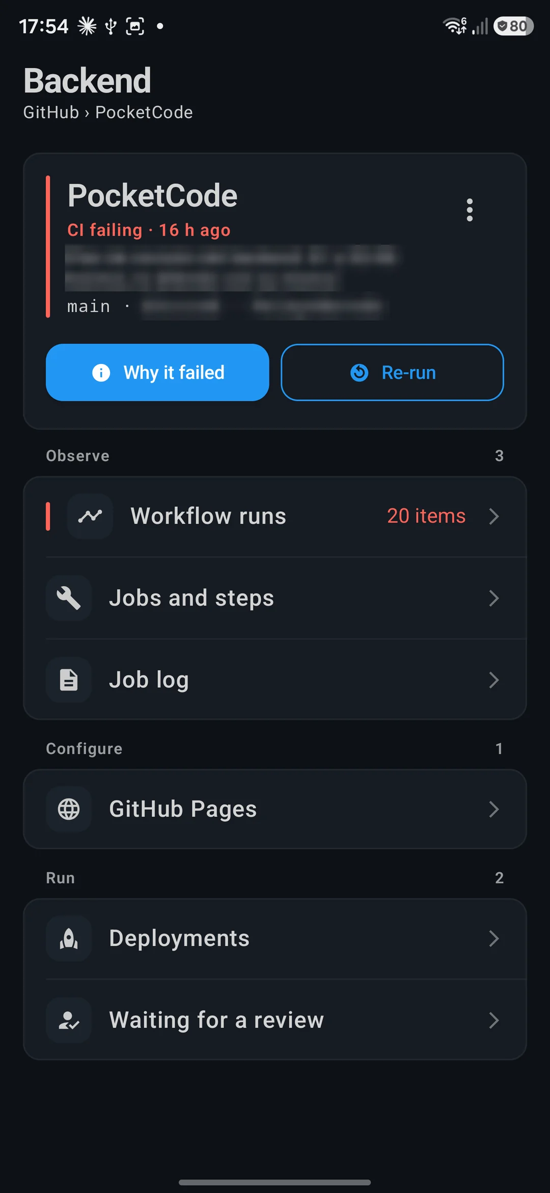 A GitHub project with its CI failing, Why it failed and Re-run