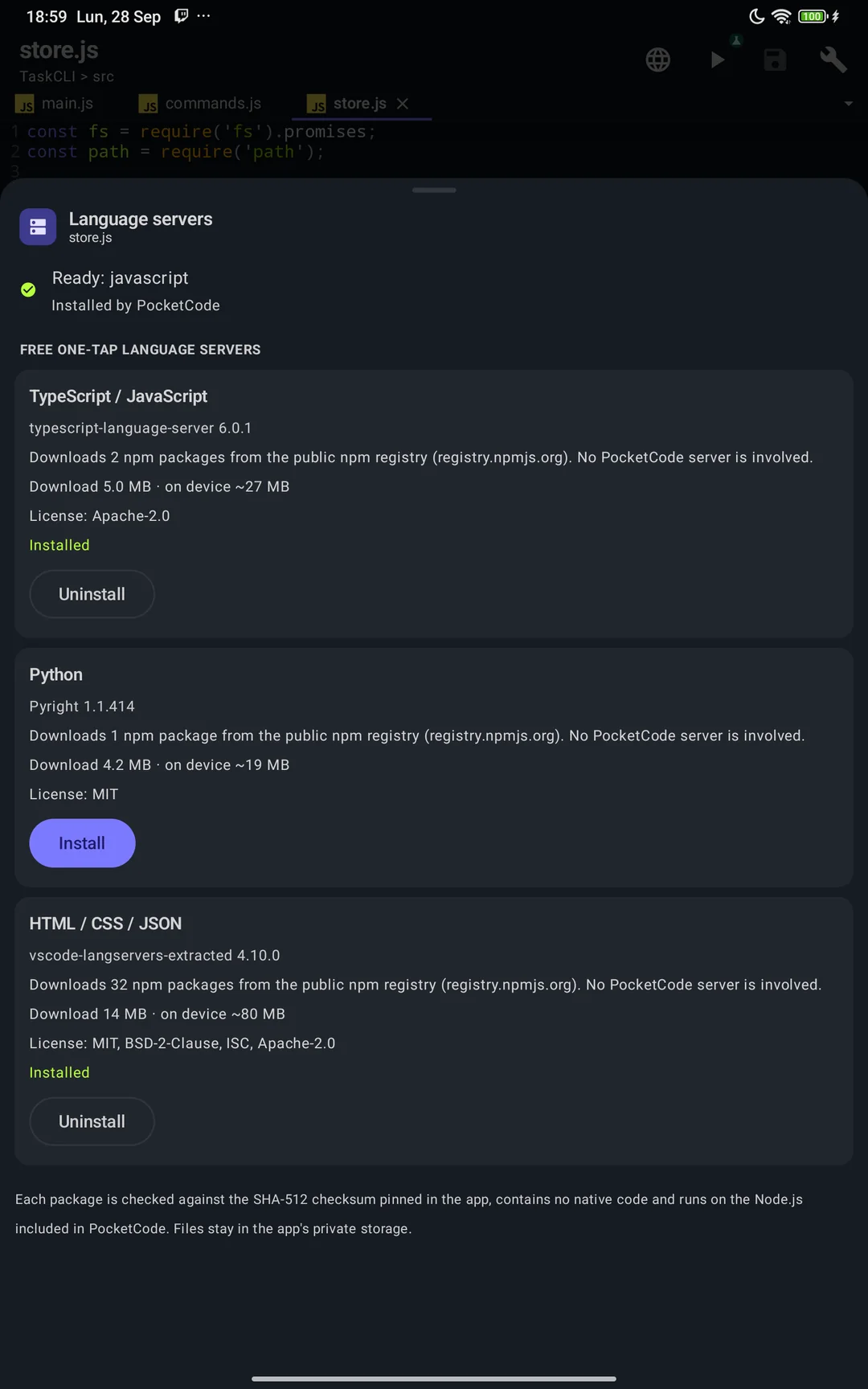 Language servers sheet: TypeScript/JavaScript and HTML/CSS/JSON installed, Python ready to install, each with its npm package, size and license